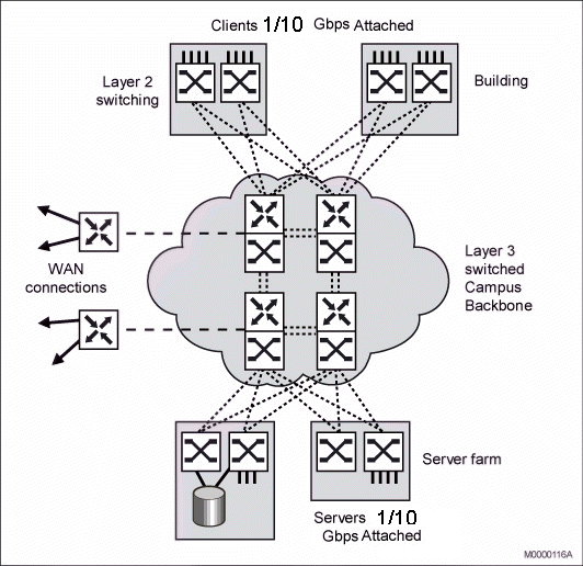 IP Network Structure
